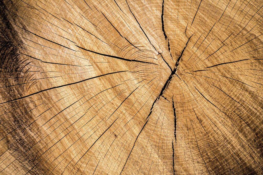 Boisé sélection spiritueux (1)