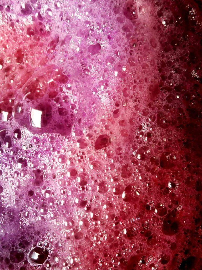 Oenotan---Fermentation-alcoolique-vin-rouge