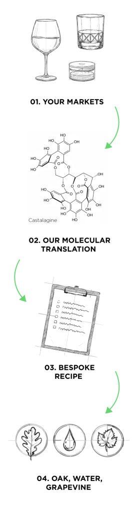 Illustrations-frise-EN_-mobile