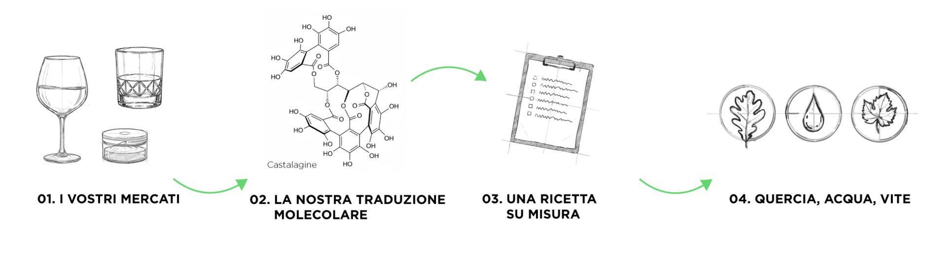 Illustrations-frise-IT_-Biossent