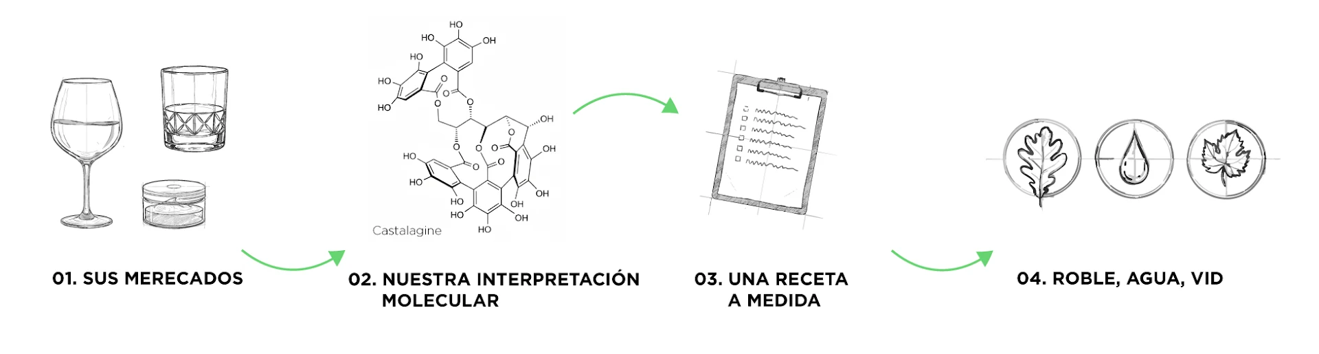 Illustrations-frise-ES_-Biossent